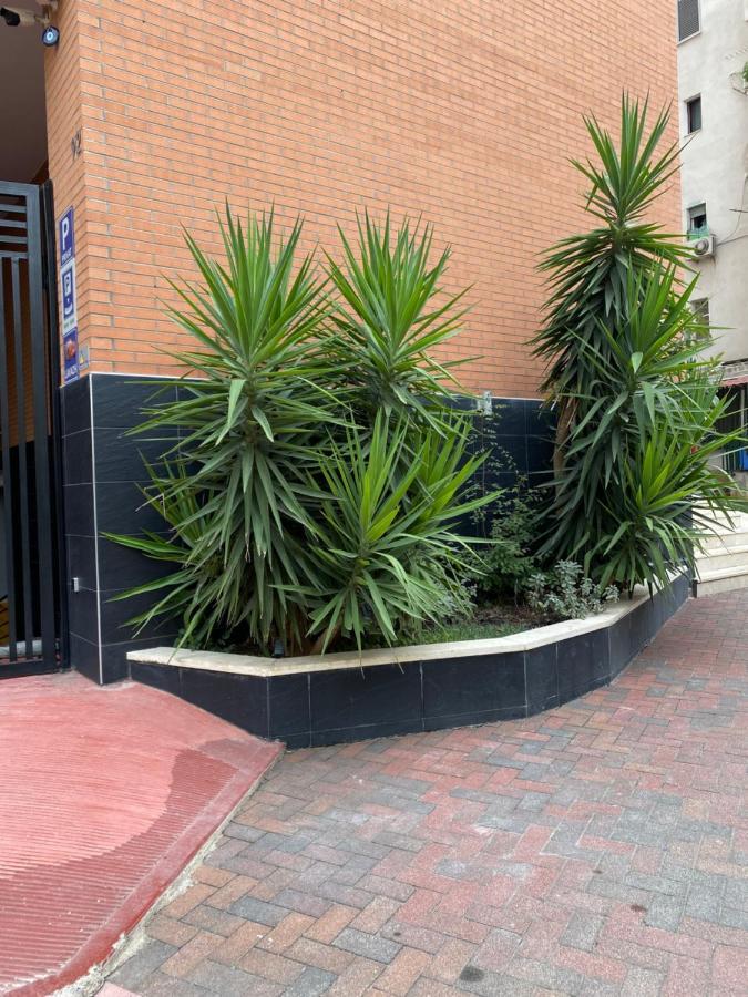 Nemis Apartments In The Centre Of Tirana Four Free Parking Exteriör bild